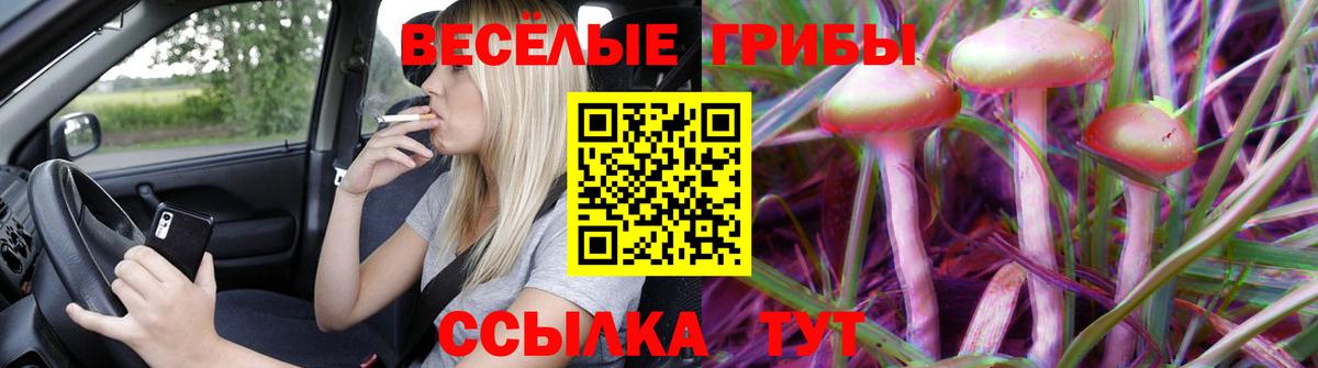 Галлюциногенные грибы мицелий Гулькевичи