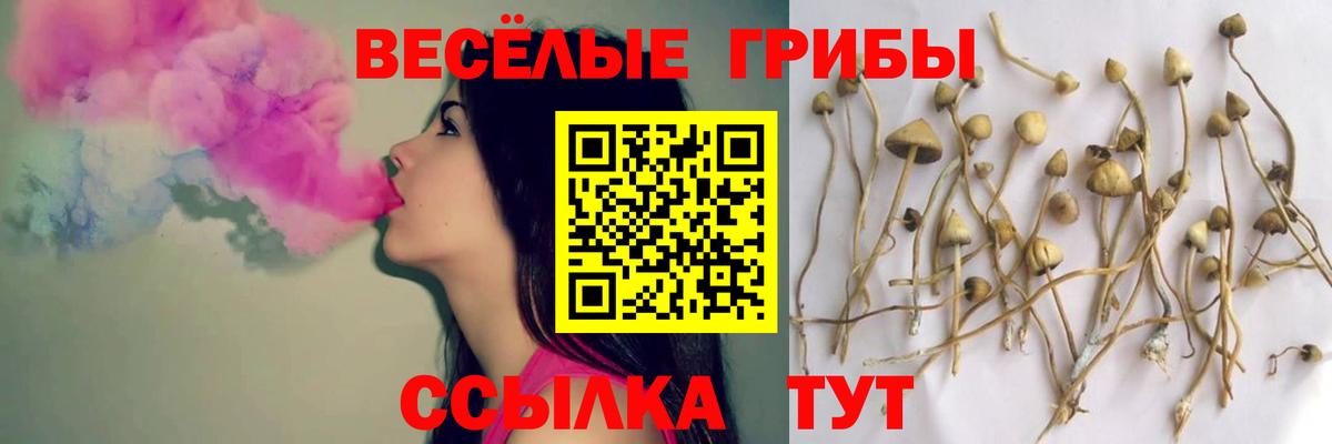 Псилоцибиновые грибы GOLDEN TEACHER  купить наркоту  Галлюциногенные грибы мухоморы  Гулькевичи  Вход с VPN 